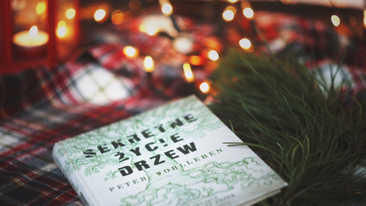 Sekretne Zycie Drzew book